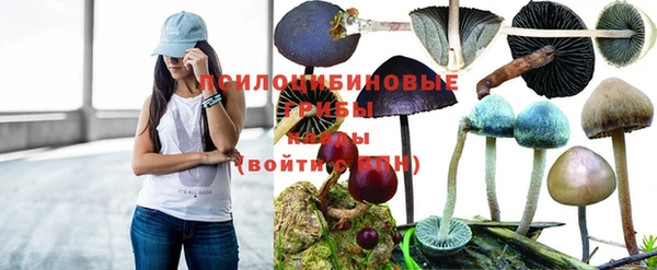 герыч Медвежьегорск