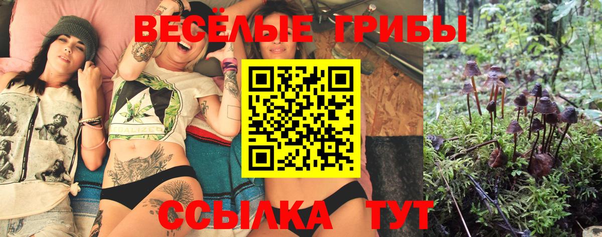 Галлюциногенные грибы Cubensis  Михайловка 