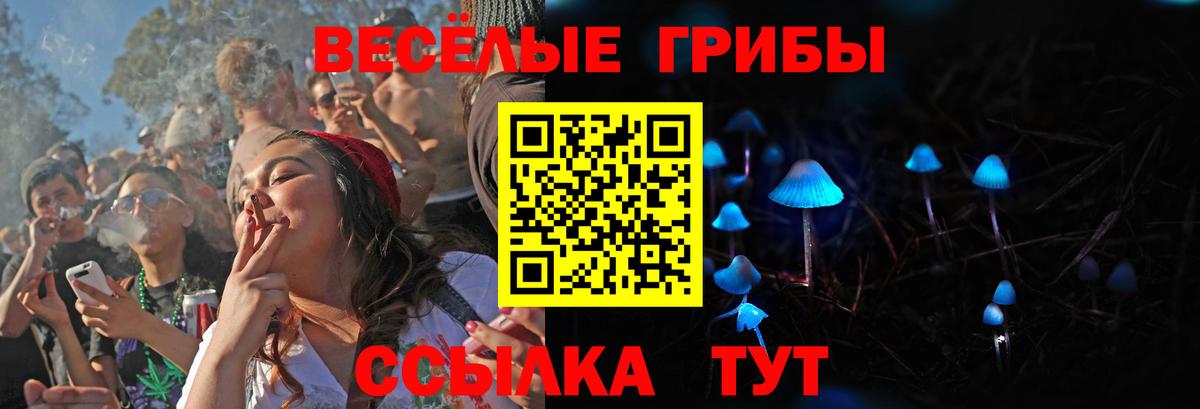 Галлюциногенные грибы Magic Shrooms  Вход с VPN  Михайловка 